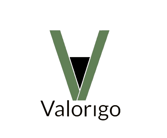 Valorigo logo
